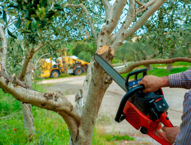  Fletcher, OK Tree Service Pros